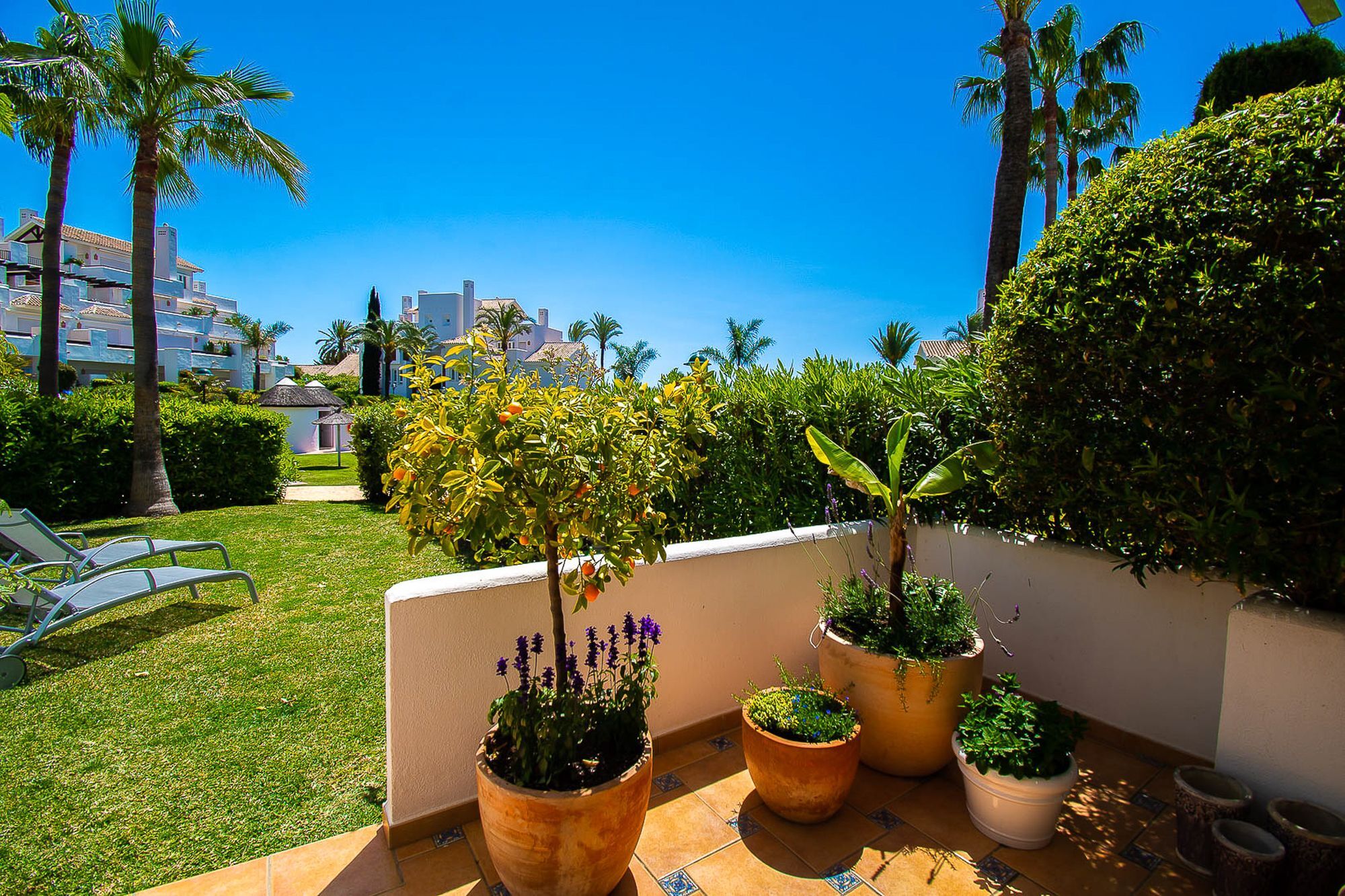 Appartamento Oleholidays Palm 6 *